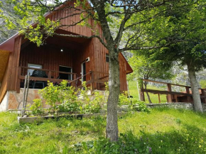 Detached house Milivoje